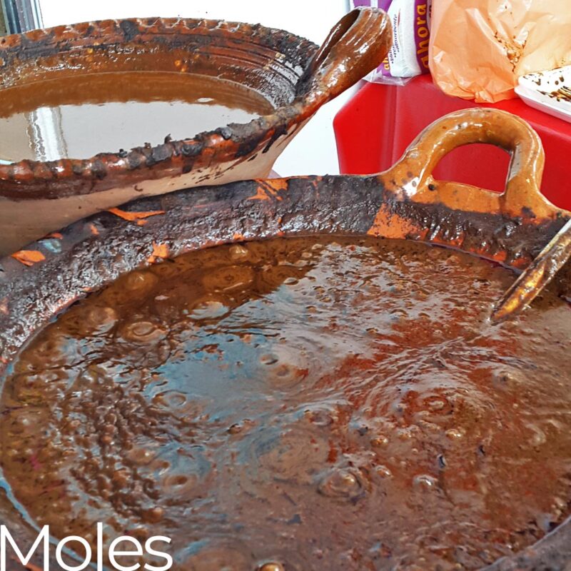 moles authenic mexican food